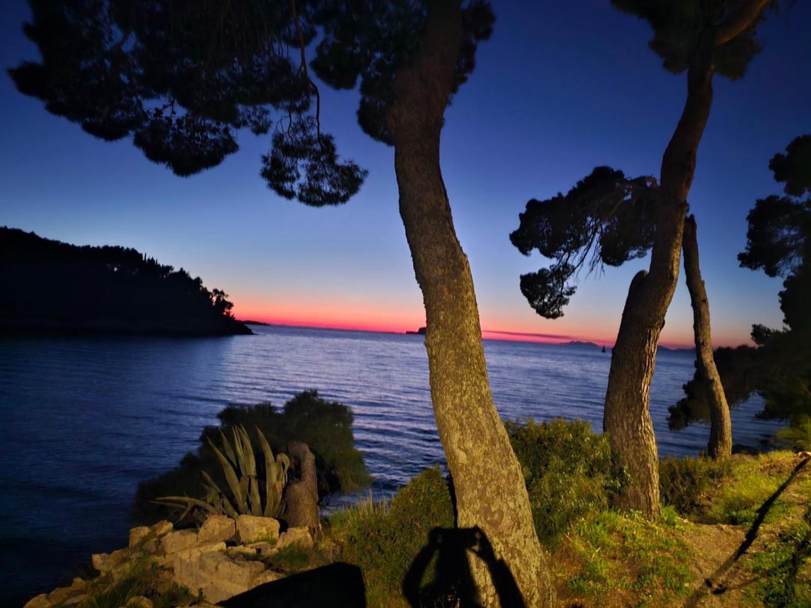 Villa Anica Dubrovnik - Luxurious With A Sea View Екстер'єр фото